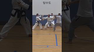 Board Breaks Cho Dan Test boardbreaking martialarts karate tangsoodo [upl. by Ru]