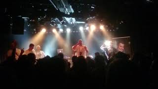 Shacke One  Taubensohn Live [upl. by Naillimxam914]