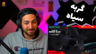 🔥MASLAK quotGORBE SIAHquot REACTION  واکنش به ترک «گربه سیاه» از مسلک 🔥 [upl. by Anrym]