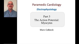 Cardiovascular Electrophysiology 3  Action Potential of the Myocytes [upl. by Ressler]