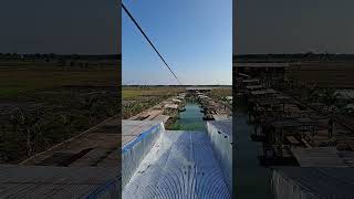 quotThrilling Flying Fox Adventure Near the Rice Fieldsquot [upl. by Ennairac]