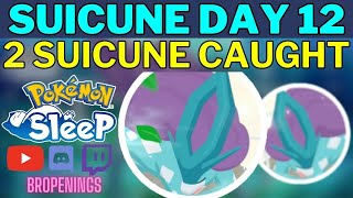 Suicune Day 12 2× Suicune Caught and a Nap Session pokemonsleep suicune [upl. by Goetz831]