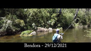 211229 Fishing Bendora Champagne RAW [upl. by Aikaz352]