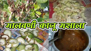 kokanatilrecipe  ओल्या काजूची भाजी  मालवणी काजू मसाला  kaju masala recipe कोकणी काजूची भाजी [upl. by Leventis101]