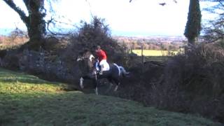 Bray Harriers  Glen Of The Downs  Jan 2011 [upl. by Berlauda]