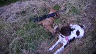 Rehbockjagd Teil 1  Roe Deer Hunting  Reebok jacht [upl. by Atineb]