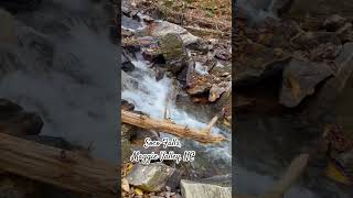 Soco Falls Maggie Valley North Carolina shorts waterfall northcarolina nature [upl. by Sileray]