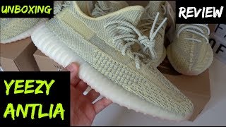 EUROPE EXCLUSIVE ADIDAS YEEZY 350 V2 ANTLIA REVIEW [upl. by Aihpledalihp]