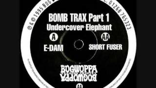 UNDERCOVER ELEPHANT  EDAM [upl. by Ynahpit]