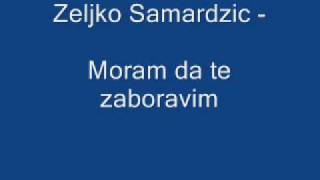 Zeljko Samardzic Moram da te zaboravim [upl. by Kreg]