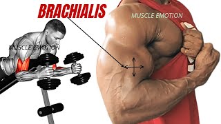 13 BEST BRACHIALIS WORKOUT AT GYM TO GET BIGGER ARMS FAST [upl. by Akinod]