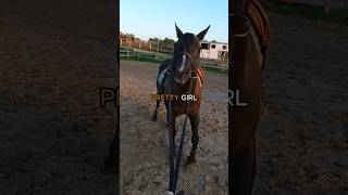 🐴 GOPRO Horse Riding Lesson shorts canter horseriding [upl. by Brade]