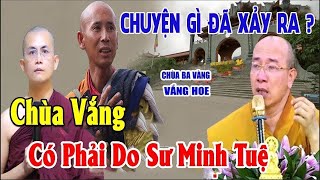 Vì Sao Nhiều Chùa Chiền Vắng Vẻ Thầy Thích Minh Tuệ có Tác Động Thế nào Đến Phật Tử Việt Nam [upl. by Keeton]