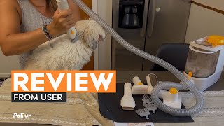 Review with Small Breed Dogs Super easy and amazing [upl. by Anoynek808]