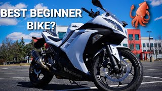 KAWASAKI NINJA 300 REVIEW  BEST BEGINNER BIKE [upl. by Anoiuq]