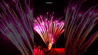 156 Shots Purple Peacock fireworkscake merrytimefireworks 美太156发紫孔雀 [upl. by Anselmi]