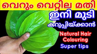 എന്റമ്മോ വെറ്റില കൊണ്ട് മുടി കറുപ്പിയ്ക്കാമോ  Natural hair dyeHerbal hair dye  Hair colouring [upl. by Earl]