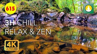 Tranquil Forest ASMR Flowing Water Sounds for Deep Relaxation in 4K  Meditation 615 [upl. by Adim763]