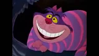 Cheshire Cat and Smile [upl. by Nodlew]