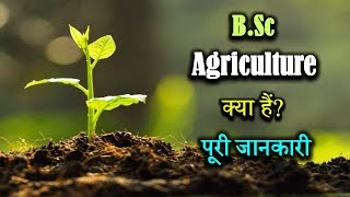 What is BSc Agriculture With Full Information – Hindi – Quick Support [upl. by Atsirc623]