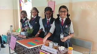 Chrysalis in RJ Matriculation higher secondary school vilankurichi coimbatore science exhibition [upl. by Munn]