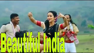 Indian Dance Typical  Folk Dance  Traditional Dance [upl. by Ntsud]