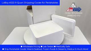 Loboy 222 9Quart Styrofoam Shipping Cooler for Perishables [upl. by Akerley]