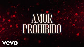 Grupo Bryndis  Amor Prohibido LETRA [upl. by Ehtylb]