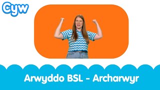 Arwyddo BSL  Cân Archarwyr  BSL Signed Kids Superhero Song Welsh Cymraeg [upl. by Hooper]