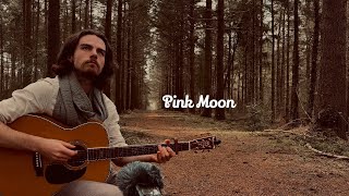 Pink Moon  Nick Drake Cover [upl. by Ehcor574]