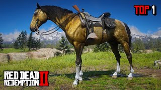 Proper Way To Get The Best amp Fastest Gold Turkoman Horse  RDR 2 [upl. by Aicek]