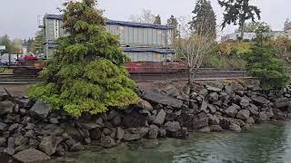 Steilacoom Ferry Terminal walkabout [upl. by Ddot]