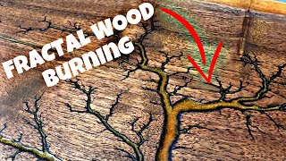 HOW I TURN 10 WOOD INTO 200 ART Fractal Wood Burning [upl. by Dragone]