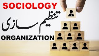 SOCIALIZATIONTHE TERMSOCIOLOGYFACTOR AFFECTING SOCIALIZATIONIUB LLB [upl. by Anivid]