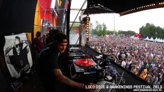 Loco Dice  Awakenings Festival 2013 [upl. by Alleuqram]