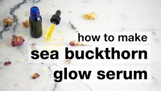 How to Make DIY Sea Buckthorn Glow Serum [upl. by Gemma]