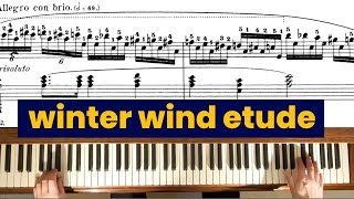 Chopin quotWinter Windquot Etude chopin classicalpiano classicalmusic [upl. by Adnuahs]