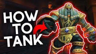 InDepth Guide on How to Tank The Stonevault Prot Pal PoV [upl. by Notserp]