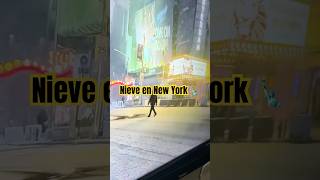 Tormenta de nieve en New York vlogger [upl. by Odey]