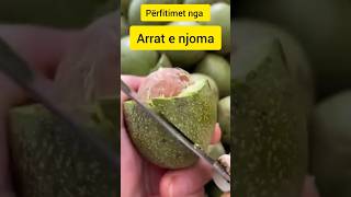 arrat shendetshem gatimetradicionale mjekesi frutadheperime fruits benefits nuts healthy [upl. by Dinin982]