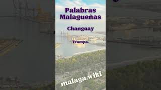 Diccionario Malagueño Palabras de malaga [upl. by Suhploda947]