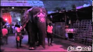 Thiruvanamalai Annamalaiyar Temple  Dinamalar Sep 8th 2013 Video News [upl. by Yretsym353]