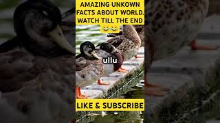 Amazing facts about the world amazingfacts world viralvideo viralshorts youtubeshorts viral [upl. by Esorbma]