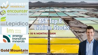 Top 6 ASX Lithium Shares  50 Monthly Gain  NWM ENR GMN ETM LPD IMI [upl. by Darnok522]