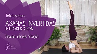 Sexta clase de Yoga principiantes Posturas invertidas Sarvangasana y Halasana la vela y el arado [upl. by Oswal]