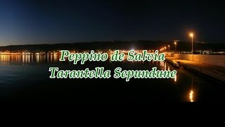 Peppino de Salvia  Tarantella Sepundune [upl. by Ot]