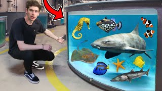 LARGEST AQUARIUM FISH amp RARE EXOTIC ANIMAL TOUR 800 Creatures [upl. by Haimehen]