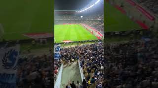 FC Porto Fans vs Sporting 43 SportignCP FCPorto shorts [upl. by Amatruda]