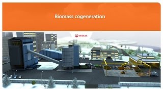 Cogeneration biomass  Veolia [upl. by Nash]