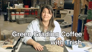 Green grading coffee with Trish [upl. by Neitsirk]